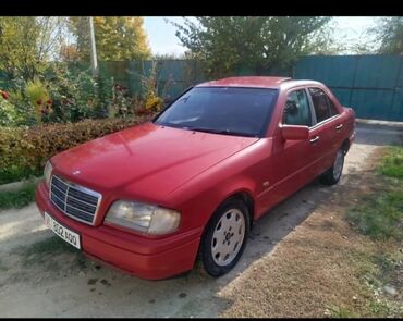хонда жаз машина: Mercedes-Benz C-Class: 1995 г., 3.2 л, Механика, Бензин, Седан
