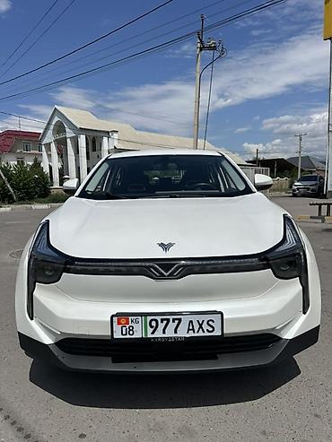 outback 2005: Hozon Neta U: 2022 г., 0.1 л, Автомат, Электромобиль, Хэтчбэк — 2
