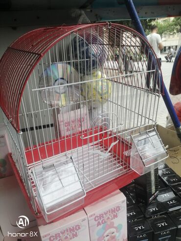 Qəfəslər: Təzə Qəfəslər 9azn boş qəfəslər Valnisti Tutuquşu Qəfəsi 9azn Amadin — 19