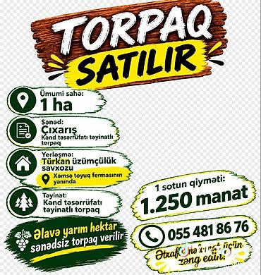 cepis satisi: 100 sot, Kənd təsərrüfatı, Kupça (Çıxarış) — 1