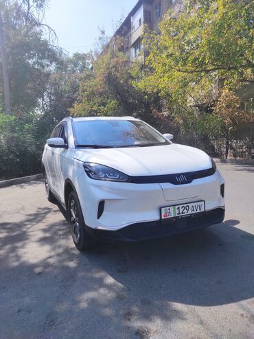 авто разбор бмв: Weltmeister EX5, 2021 г., 145000 км, Алдыңкы, Бар