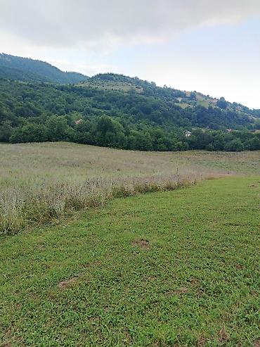 şəkidə torpaq: 130 sot, Biznes üçün, Mülkiyyətçi, Kupça (Çıxarış) — 3