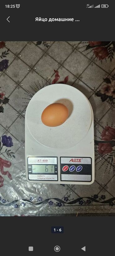 яйцо домашний: Продаю яйца домашние. платная доставка