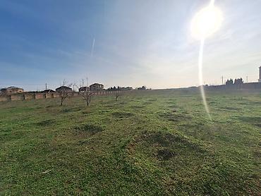 kupça: 200 sot, Tikinti, Mülkiyyətçi, Kupça (Çıxarış) — 4