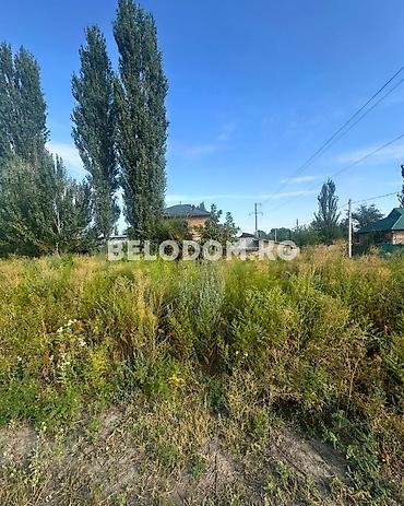 Жер тилкелери: 15 соток — 3