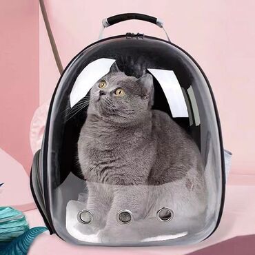 переноска для кошек бишкек: Продаю рюкзак переноску . Самый ходовой цвет. Качество 10 из 10
