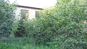 Həyət evi alıram: 5 otaqlı, 200 kv. m, Kredit yoxdur, Orta təmir