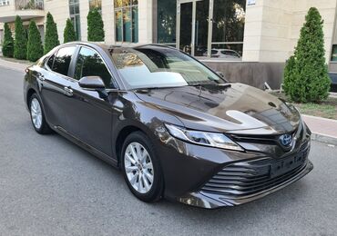 Toyota: Toyota Camry: 2021 г., 2.5 л, Вариатор, Гибрид, Седан