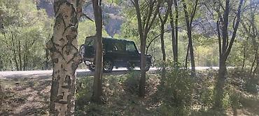 w210 3 2: Mercedes-Benz G-Class: 1991 г., 3 л, Автомат, Дизель, Внедорожник — 8
