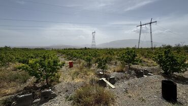 Продажа участков: 400 соток, Для сельского хозяйства, Генеральная доверенность, Договор купли-продажи, Тех паспорт — 3