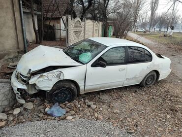 Nissan: Nissan Cefiro: 1997 г., 2 л, Автомат, Бензин, Седан