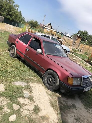 aion v: Mercedes-Benz W124: 1989 г., 3 л, Механика, Дизель, Седан — 3