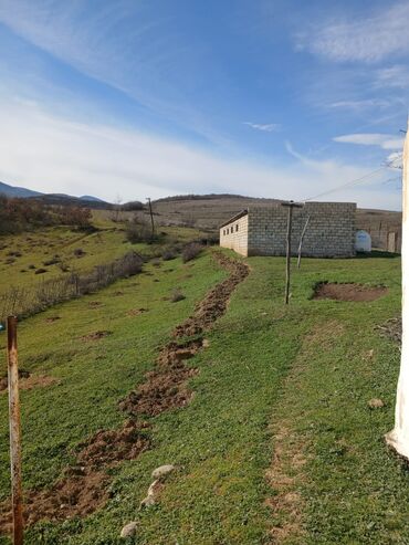 сдам в аренду землю: Şabranda Hektarı 5 mıne.Yararlı torpaqdır