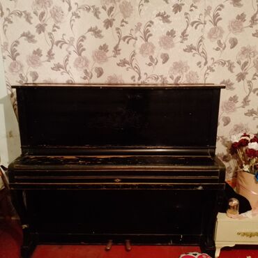 трехколесный велосипед для взрослых бишкек: Piano, Akustik