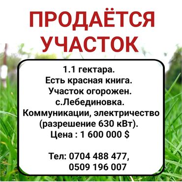 Иссык-Куль 2024: 1100 соток, Для бизнеса, Красная книга