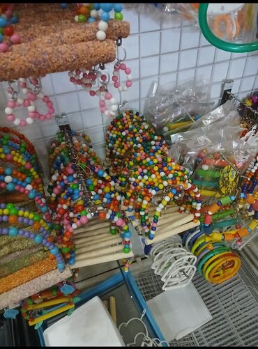 Qəfəslər: Her nov her qiymete qefesler var satisda maraqlamaq isdeyen elaqe -da lalafo.az — 13 Qəfəslər: Her nov her qiymete qefesler var satisda maraqlamaq isdeyen elaqe — 13