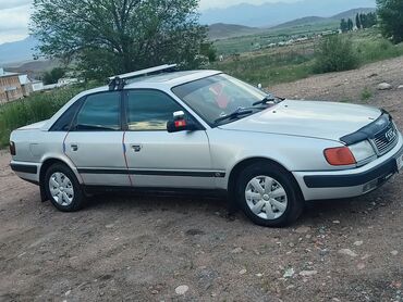 картинговые машины: Audi 100: 1992 г., 2 л, Механика, Бензин, Седан