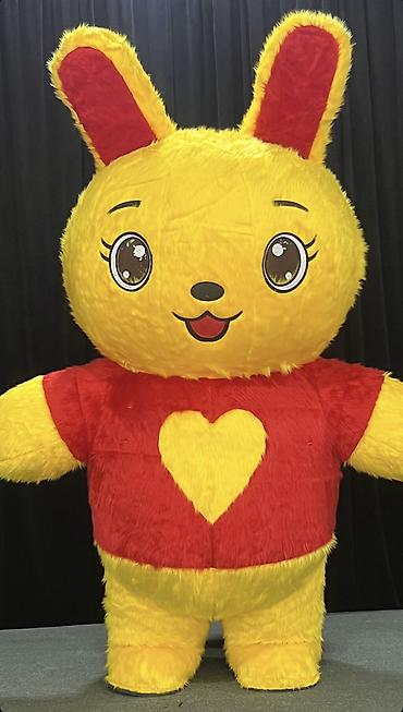 Tamadalar, aparıcılar: Toy, nişan, xınayaxdı, ad günü, korporativ tədbirlər və digər — 8