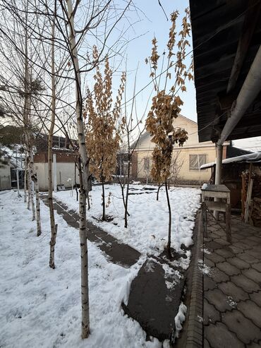 Продажа участков: 5 соток, Для строительства, Красная книга, Тех паспорт, Договор купли-продажи — 8