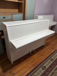 Pianolar: Piano, Petrof, Akustik, Yeni, Pulsuz çatdırılma — 4