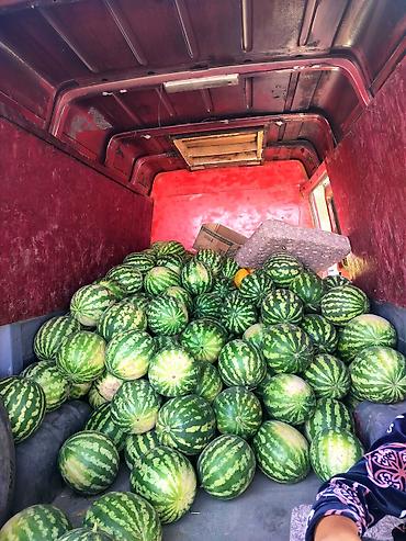Арбузы Оптом, В розницу, Самовывоз, Бесплатная доставка at lalafo.kg Арбузы Оптом, В розницу, Самовывоз, Бесплатная доставка