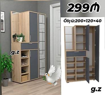 Dəhliz dolabları: Yeni, 2 qapılı, Güzgülü, Boz, Açılan, Düz dolab — 1