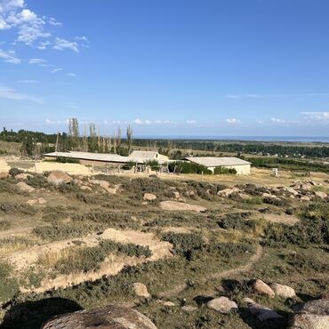 Сельхоз предприятия: Продаю Кошара, 40 соток, Действующий, С оборудованием, Отопление, Холодная вода, Электричество at lalafo.kg — 9 Сельхоз предприятия: Продаю Кошара, 40 соток, Действующий, С оборудованием, Отопление, Холодная вода, Электричество — 9