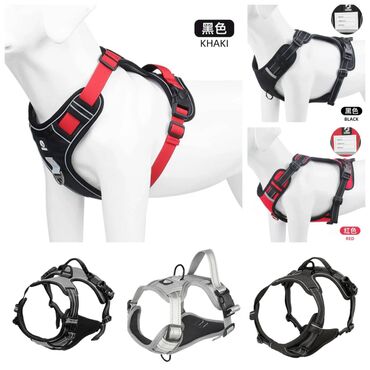 Зоотовары: ПРОДАЮ КОШАЧЬЮ МЯТУ(АНТИСТРЕСС),ПОРАДУЙТЕ СВОГО КОТИКА ТАКОЙ — 25