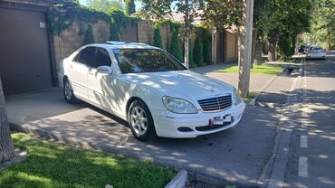 лупарик мерс цена: Mercedes-Benz S-Class: 2004 г., 5 л, Типтроник, Бензин, Седан