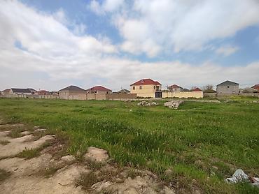 binədə: Kənd təsərrüfatı, Kupça (Çıxarış) — 8