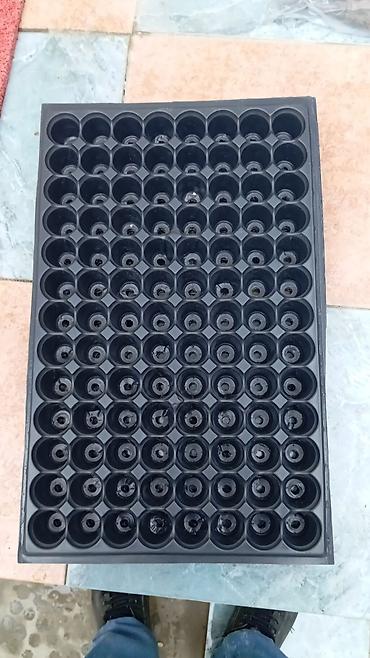 Torf: Məhsul: Neytrallaşdırılmış torf və kokos substratı Təsvir: - Brend — 68