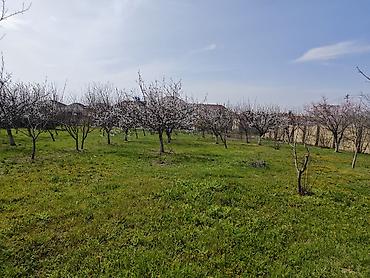 bayilda kirayə evler: Qiymətdə endirim olundu. Abşeron rayonu, yeni saray qəsəbəsində — 3