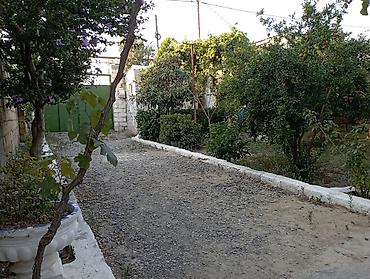 buzovnada torpaq: 6 sot, Biznes üçün, Mülkiyyətçi, Kupça (Çıxarış) — 6