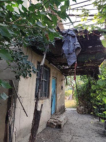 Продажа времянок: Продаю дачу. Расположена недалеко от села Кунтуу. Площадь участка — 8