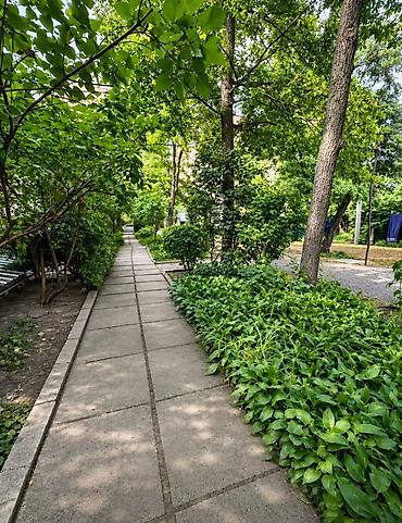 продю: Продается участок в с. Интернациональное 4 сотки, свет вода — 5