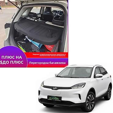 Weltmeister: Weltmeister EX5, 2020 г. — 1