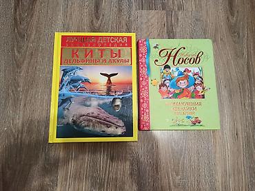 рисую: Все книги в идеальном состоянии, не рваные, как будто новые. Маленькие — 4