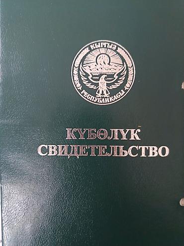 единственный владелец: 1 соток, Красная книга — 1