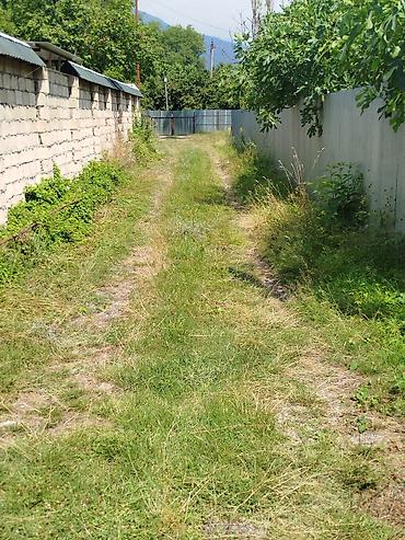 serifzadede satilan evler: 12 sot, Tikinti, Mülkiyyətçi, Kupça (Çıxarış) — 9
