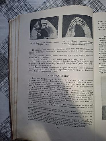 Другие книги и журналы: Продаю редкую книгу про лощадей разных стран. Тираж-25тыс .экз. Год — 5