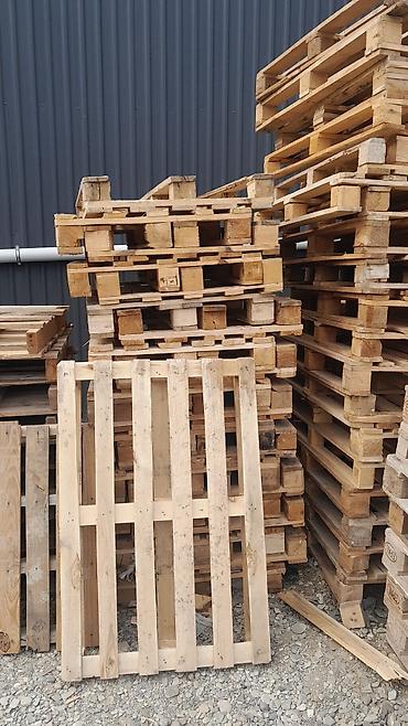 iran xurma agaci: Pallet, 800 х 1200 sm, Ödənişli çatdırılma — 10
