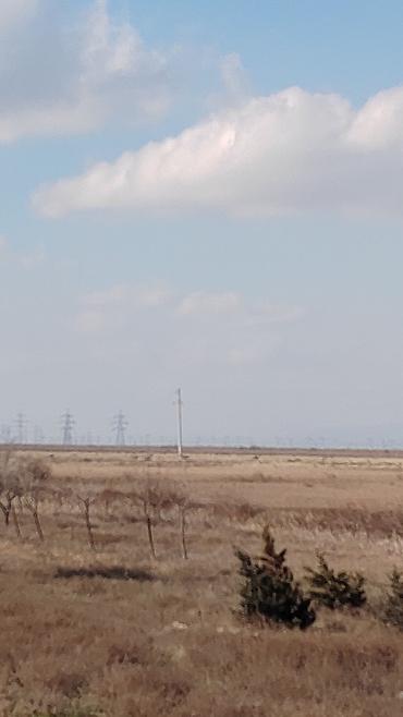 Torpaq sahələrinin satışı: Biznes üçün — 6