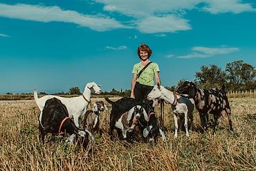 Молочные продукты и яйца: Домашнее Козье молоко. Экологически чистый продукт. Находимся в — 12