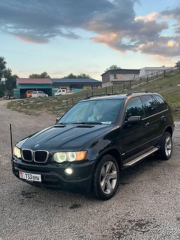 бмв аксессуары: BMW X5: 2002 г., 3 л, Автомат, Дизель, Кроссовер — 4