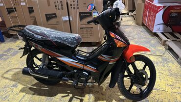 semkir moped: Moon - zx50, 50 sm3, 2024 il