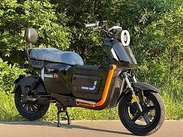 mini ev: Диаметр колес: 12 дюймов Максимальная нагрузка: до 200 кг Мощность — 2