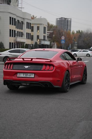 ford rapter: Ford GT: 2018 г., Автомат, Бензин, Купе — 6