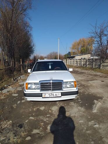 Mercedes-Benz: Mercedes-Benz W124: 1989 г., 2 л, Механика, Бензин, Седан