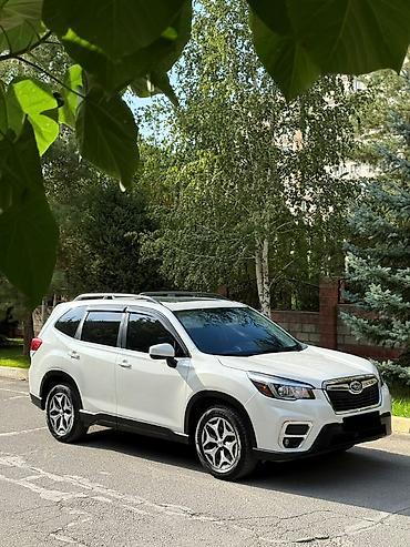 Subaru Forester: 2019 г., 2.5 л, Вариатор, Бензин, Кроссовер
