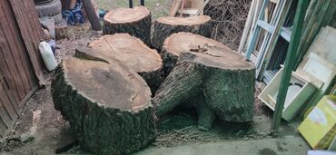 продать дрова оптом: Дрова Карагач, Самовывоз, Платная доставка